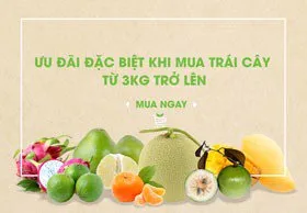 Ưu đãi đặc biệt khi mua trái cây từ 3kg trở lên
