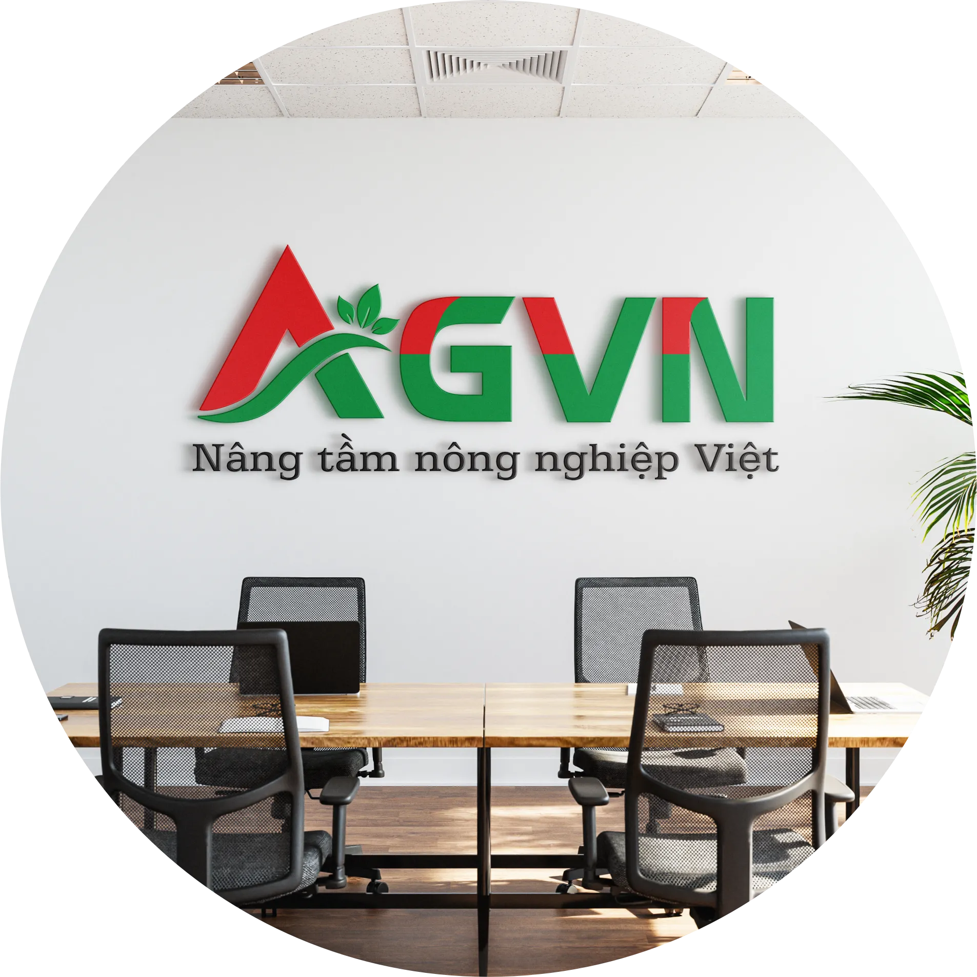 agvn tron