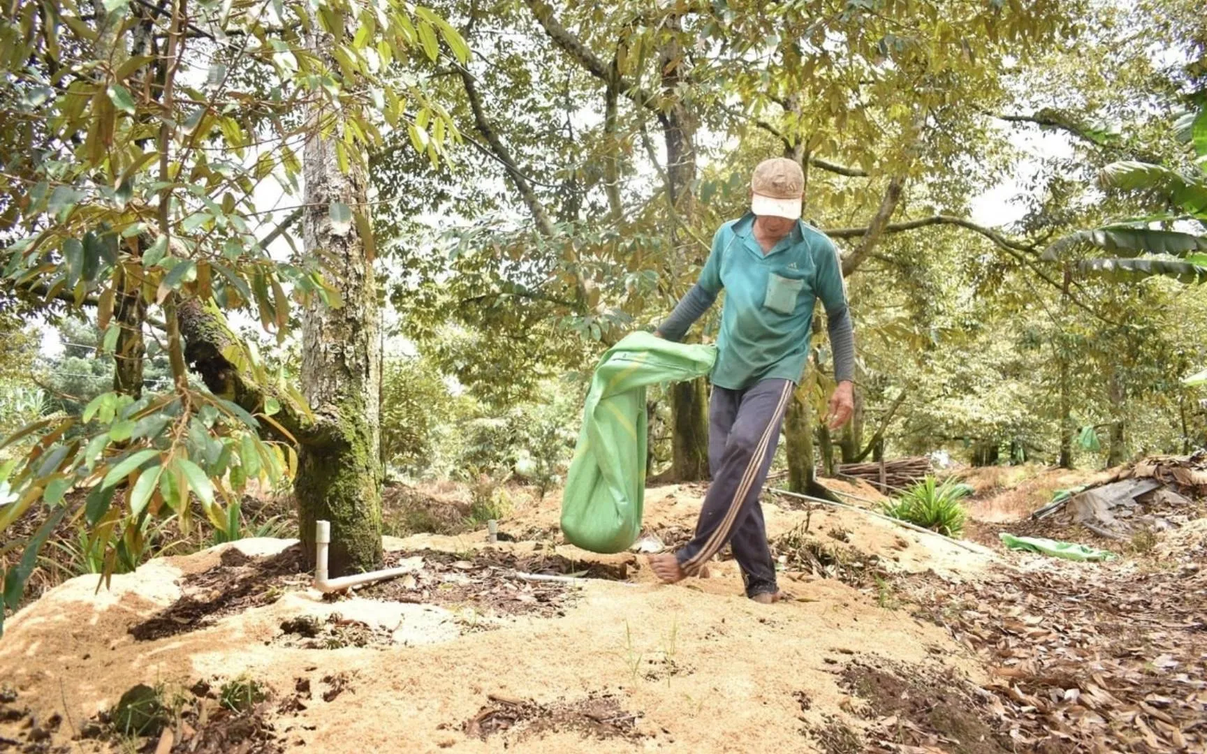 Châu Phi trở thành điểm đến tiềm năng của hạt gạo Việt