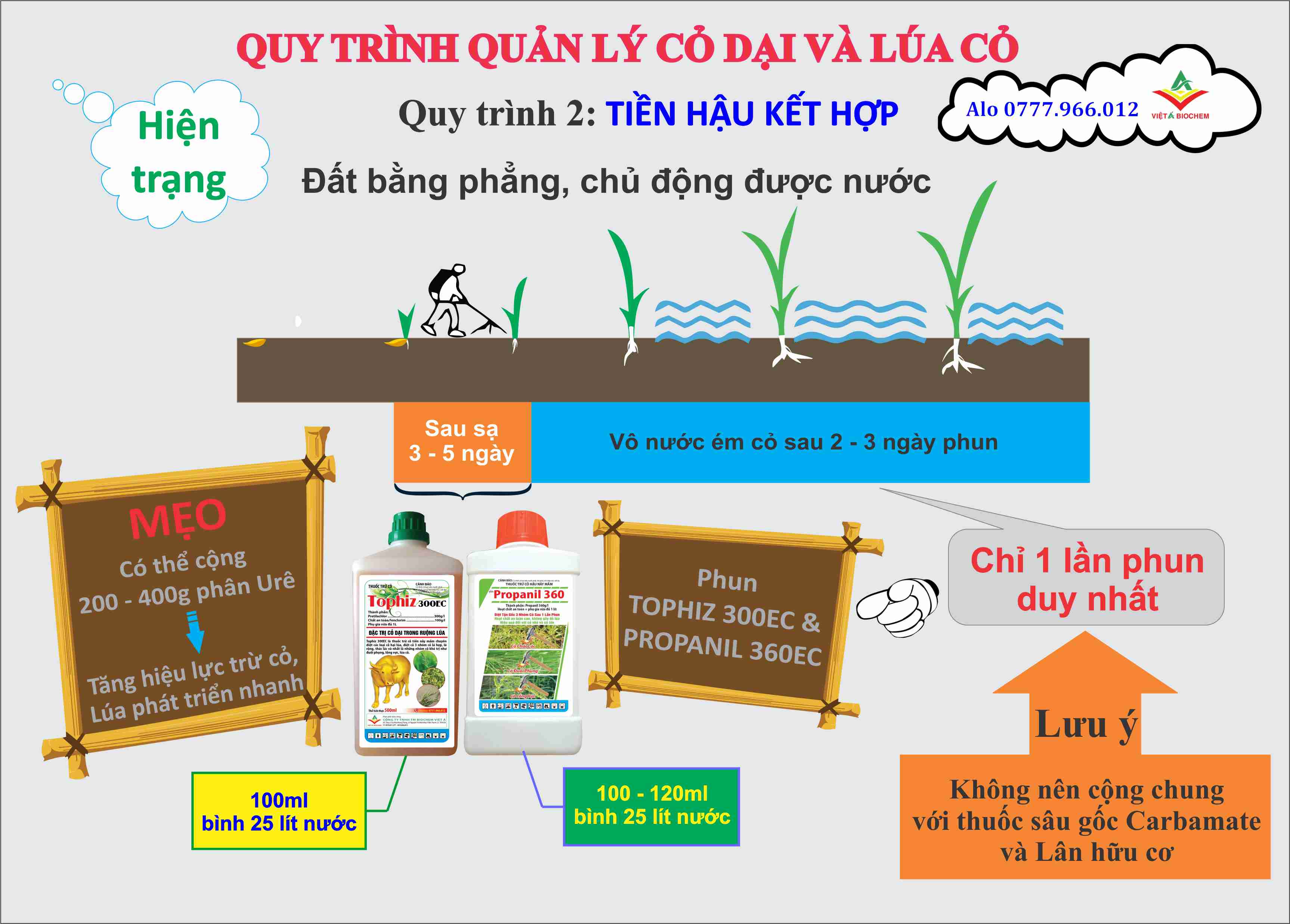 quy trinh 2 truoc sau ket hop