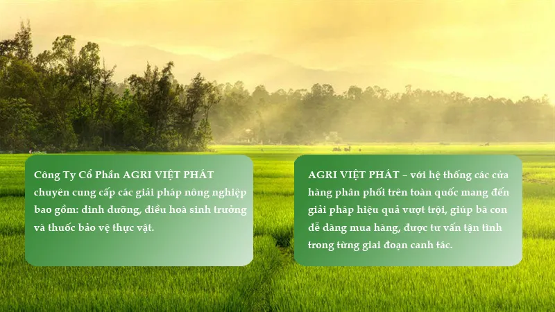 agri viet phat hinh nen 1