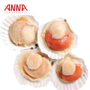 Haft Shell Scallop 10/11