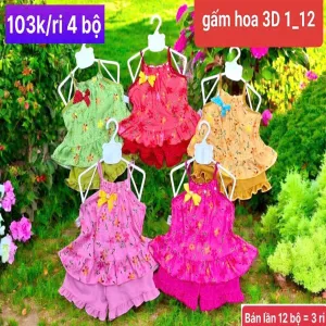 Bộ Gấm 1/12 và 18/24
