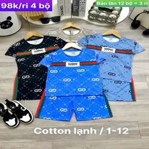 Bộ cotton lạnh 1/12
