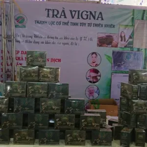 Trà hòa tan vigna - sảng khoái, sung mãn