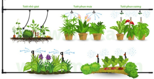 Hệ thống tưới cây hẹn giờ tự động – giải pháp hoàn hảo cho khu vườn bạn