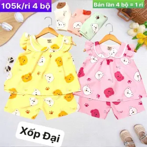 Bộ xốp đại