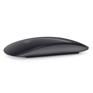 Apple Magic Mouse 2 (Space Gray)