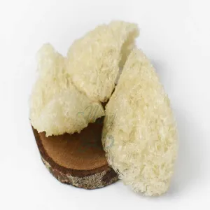 YẾN TINH CHẾ VỤN SẠCH 100GR