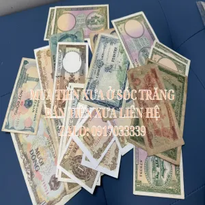 Mua tiền xưa tại Sóc Trăng