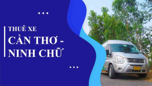 Thuê xe Cần Thơ đi Ninh Chữ giá rẻ 2022 - Dịch vụ thuê xe Thảo Vy