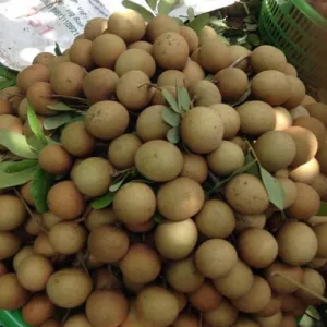 NHÃN