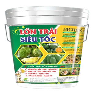 Lớn Trái Siêu Tốc_Higher GC 1.3 BLĐ