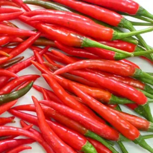 Ớt tươi
