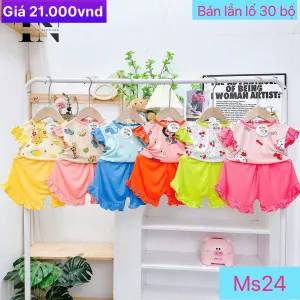 Bộ Thun lạnh MS24