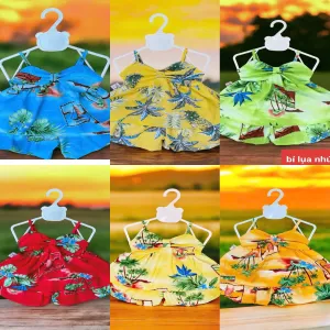 Set Bí lụa 1/12