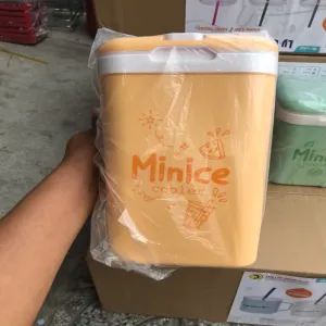 Bình minice 3 lít Duy Tân