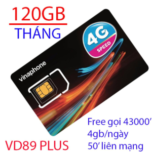 Sim vina lên mạng VD89P