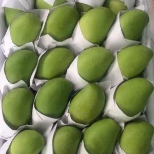 XOÀI KEO XANH