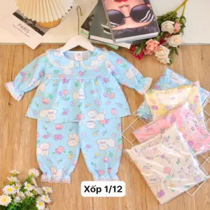 Bộ xốp size 1/12