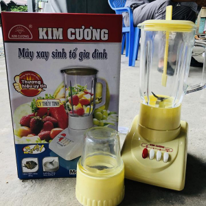 Máy xay sinh tố kim cương 2 cối