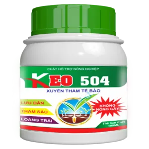 KEO 504