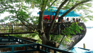 Chỗ ngồi của khách được thiết kế trên một cây cổ thụ, có hướng nhìn ra sông Hậu.