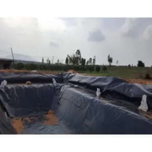 Hầm Biogas phủ bạt