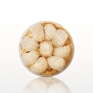 YẾN TƯƠI CẤP ĐÔNG 100GR