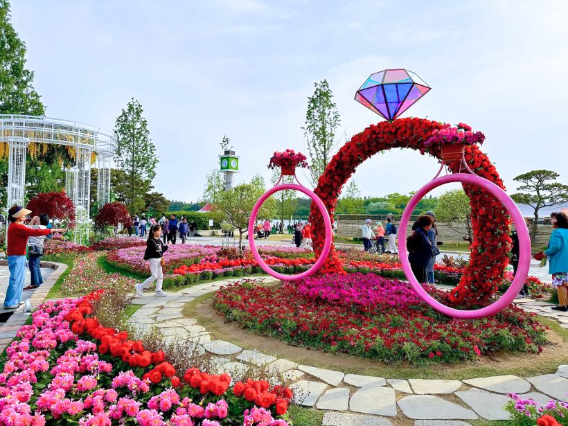 goyang flower festival00 820x615