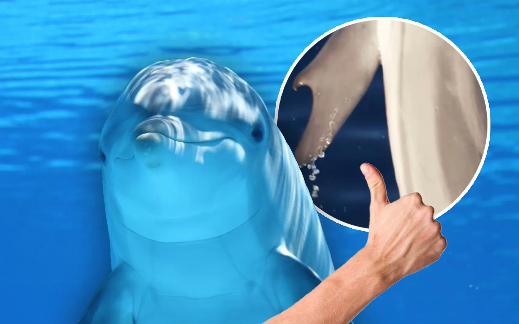 Giống sắn STB1 gieo kỳ vọng cho nông dân Bắc Trung Bộ