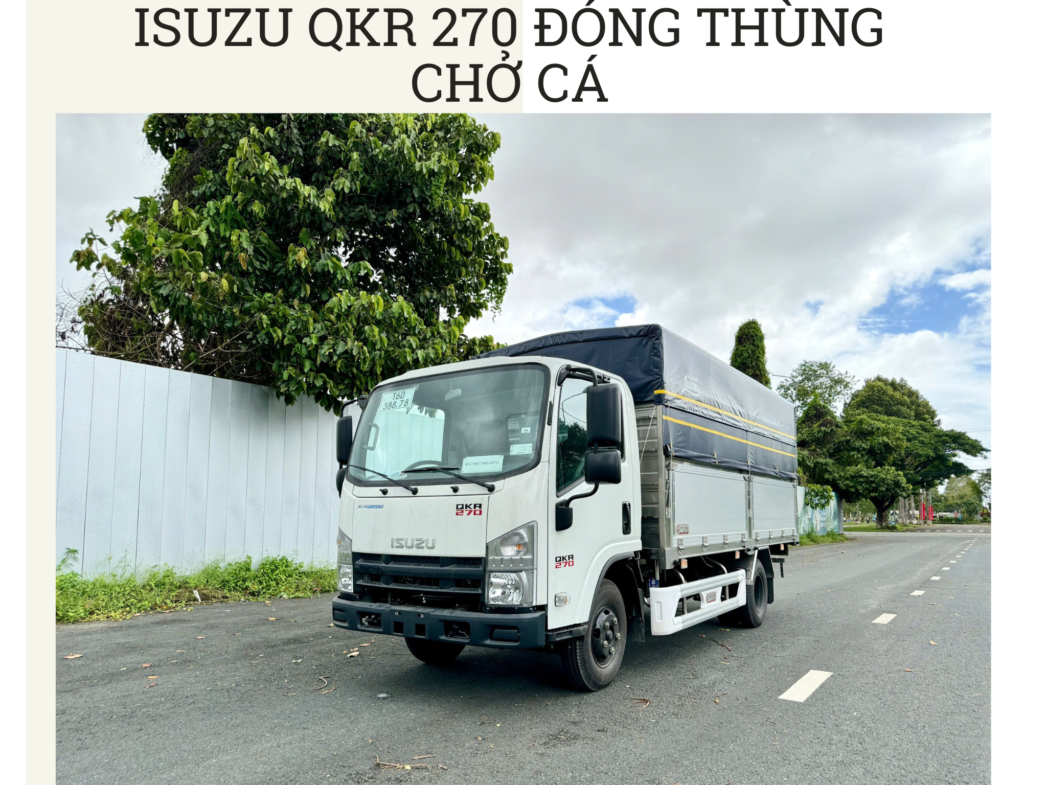 Xe tải Isuzu đóng thùng chở cá hải sản: Giải pháp vận chuyển tối ưu cho ngành thủy sản