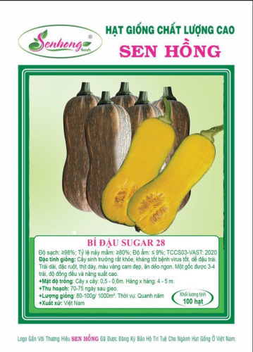 BÍ ĐẬU SUGAR 28