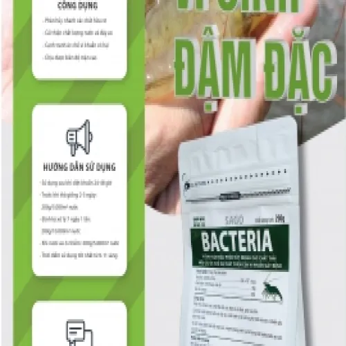 BACTERIA - VI SINH ĐẬM ĐẶC
