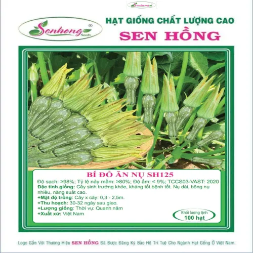 BÍ ĂN NỤ SH125
