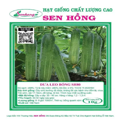 DƯA LEO BÓNG SH80