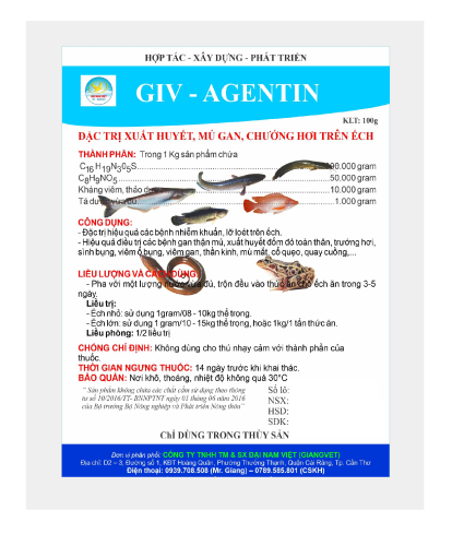 GIV - AGENTIN