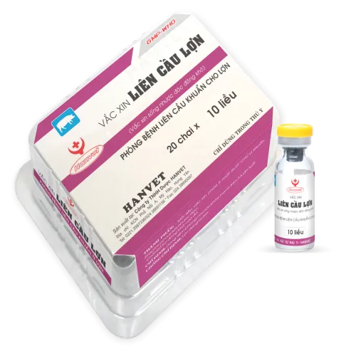 Vắc xin liên cầu lợn