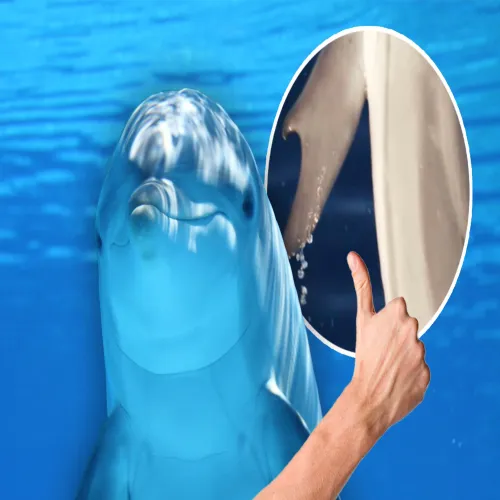 Công nghệ sinh học - động lực mới cho nông nghiệp Nghệ An