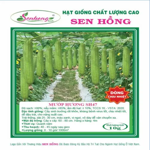 MƯỚP HƯƠNG CHỊU NHIỆT SH47