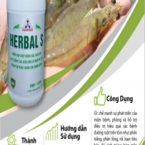 HERBAL S - ỨC CHẾ MẦM BỆNH
