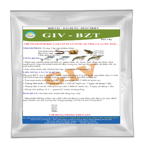 GIV - BZT 103 (Kg)