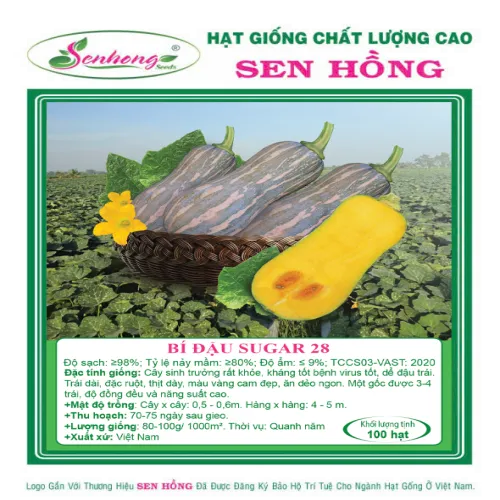 BÍ ĐỎ SUGAR 28