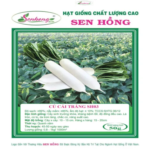CỦ CẢI SH03