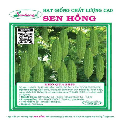 KHỔ QUA LAI F1 SH53