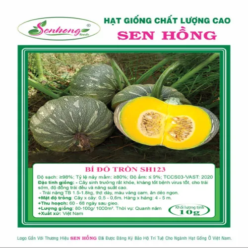 BÍ TRÒN NHỎ SH123
