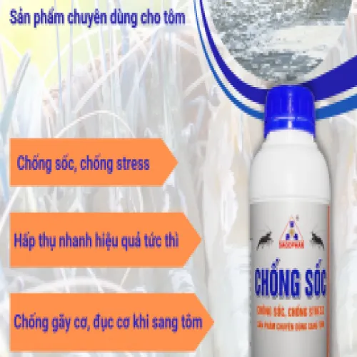 CHỐNG SỐC - PHỤC HỒI NHANH HIỆU QUẢ TỨC THÌ