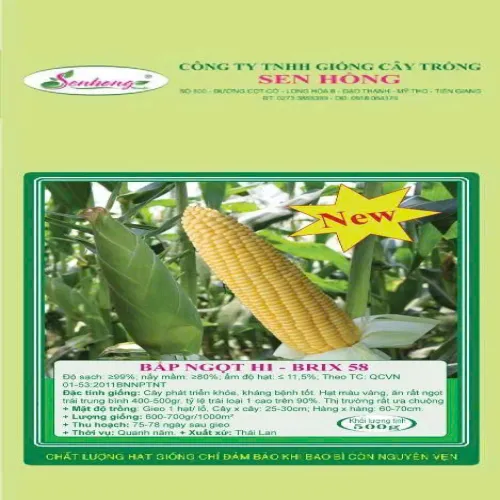 BẮP NGỌT HIBRIX 58