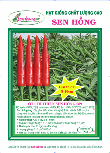 ỚT SEN HỒNG 089