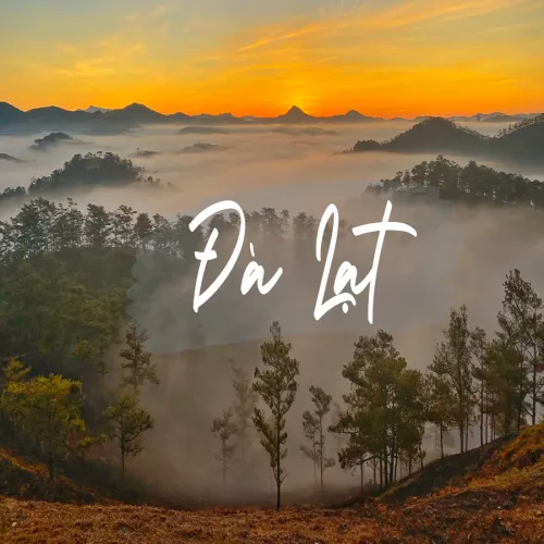 Tour du lịch Đà Lạt 3 ngày 2 đêm